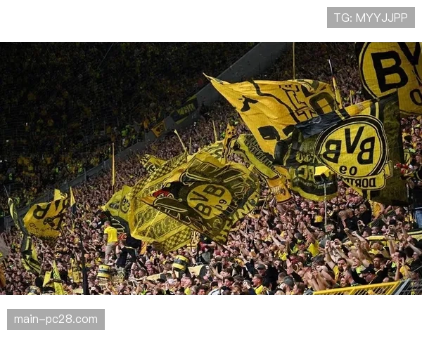 多特蒙德球迷组织抗议球队近期表现